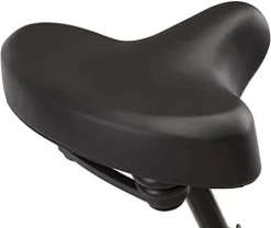 Schwinn Regioneer Womens Hybrid Comfort Bike White