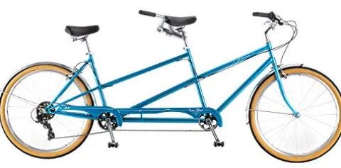 Schwinn Twinn Classic Tandem Adult Beach Cruiser Bike Blue