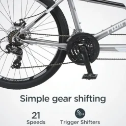 Schwinn Twinn Classic Tandem Adult Beach Cruiser Bike Grey