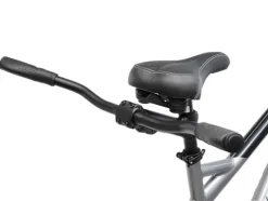 Schwinn Twinn Classic Tandem Adult Beach Cruiser Bike Grey