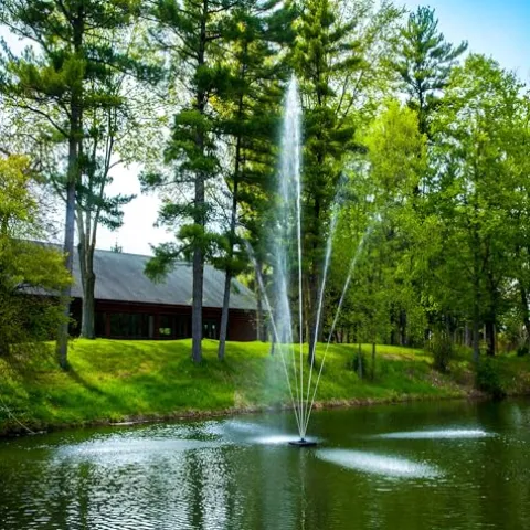 Scott Aerator Clover Big Shot Fountain 1/2 HP 115V Black