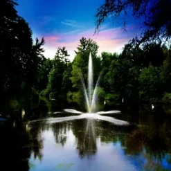 Scott Aerator Clover Big Shot Fountain 1 HP 115V Black