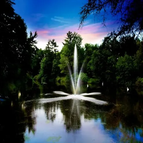 Scott Aerator Clover Big Shot Fountain 1 HP 115V Black