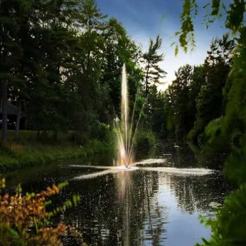 Scott Aerator Clover Big Shot Fountain 1 HP 115V Black