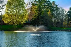 Scott Aerator Great Lakes Large Pond Fountain 3/4 HP 115V 100ft Cord 5 Patterns