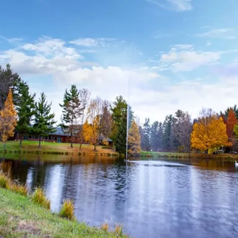 Scott Aerator Jet Stream Fountain 1/2 HP 115V Outdoor Decorative Pond Aerator