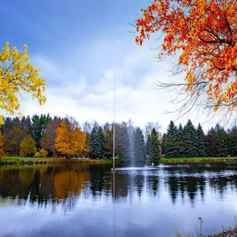 Scott Aerator Jet Stream Fountain 1/2 HP 115V Outdoor Decorative Pond Aerator