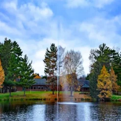 Scott Aerator Jet Stream Fountain 1/2 HP 115V Outdoor Decorative Pond Aerator