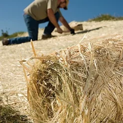 Smart Spring Contractor Grade 6 Inch Biodegradable Stakes Green