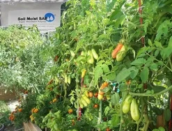 Soil Moist SAP Super Absorbent Polymer 45 Pounds