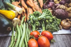 Soil Moist SAP Super Absorbent Polymer 45 Pounds