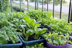 Soil Moist SAP Super Absorbent Polymer 45 Pounds