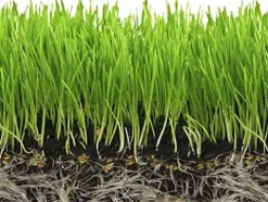 Soil Moist SAP Super Absorbent Polymer Water Retaining Crystal for Plants White 45 Pounds