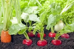 Soil Moist SAP Super Absorbent Polymer Water Retaining Crystal for Plants White 45 Pounds