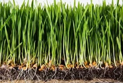 Soil Moist SAP Super Absorbent Polymer White 45 Lb.