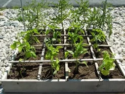 Soil Moist SAP Super Absorbent Polymer White 45 Lb.