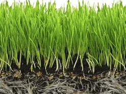 Soil Moist SAP Water Storing Crystals Polymer Small Granular 20-100 Mesh White