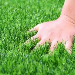 Soil Moist SAP Water Storing Crystals Polymer Small Granular 20-100 Mesh White