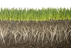 Soil Vigor Plant Survival Solution Without Water (45 Pounds) White