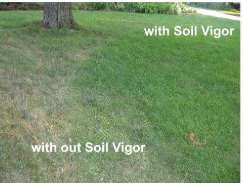 Soil Vigor Potassium Polyacrylate Superabsorbent Soil Amendment 45 lbs White