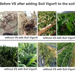 Soil Vigor Potassium SAP for Efficient Watering and Fertilization 40 Pounds