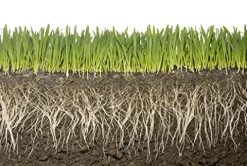 Soil Vigor Potassium Water Storing Polymer Crystal for Soil Aeration 45g