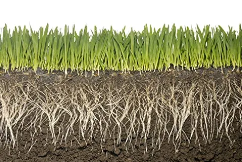 Soil Vigor Potassium Water Storing Polymer Crystal for Soil Aeration 45g