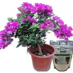 Soil Vigor SAP Superabsorbent Polymer Soil Moisturizer & Hydration Enhancer 45 Pounds