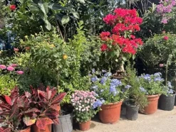 Soil Vigor Water and Fertilizer Reducing Soil Amendments 45 Pounds White