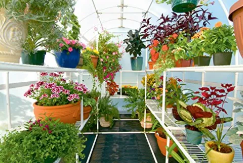 Solexx Gardeners Oasis Greenhouse 3.5MM Deluxe 8’x8’x8′ White