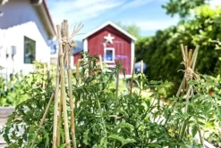 SuperMoss Bamboo Plant Stakes 24” Natural 1,000Pk