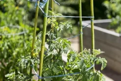 SuperMoss Bamboo Plant Stakes 24” Natural 1,000Pk