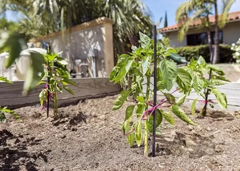 SuperMoss Bamboo Plant Stakes 24” Natural 1,000Pk