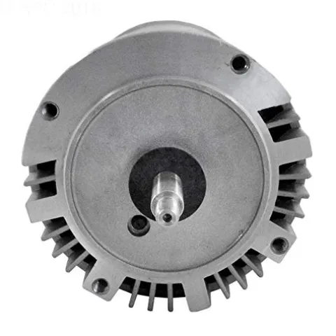 The Pool Supply Shop North Star Threaded Shaft Pool Pump Motor Black