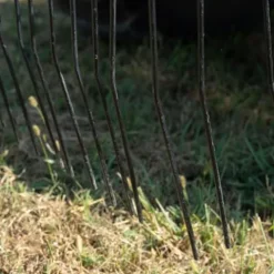 Titan Attachments 3 Point 6 FT Pine Straw Needle Rake for Category 1 Tractors with Coil Spring Tines Orange