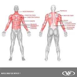 Valor Fitness Olympic Bench with Spotter Metallic Grey and Black