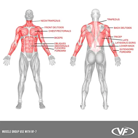 Valor Fitness Olympic Bench with Spotter Metallic Grey and Black