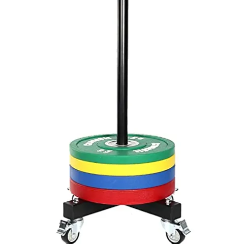 VEITEOX FTY Vertical Weight Plate Rack with Wheels, Olympic 2 Inch Weights Stand