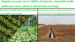 Viagrow Coconut Soilless Grow Media 11 lb 5KG Block