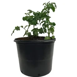 Viagrow Nursery Pots #7 Series Pallet 6.06 Gal Black (1,440 per pallet)