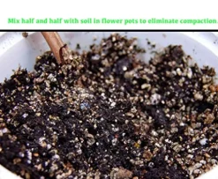 Viagrow VER4-36 36-Pack Gold