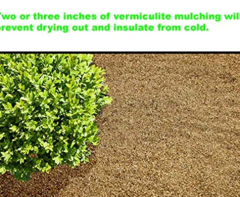 Viagrow VER4-36 36-Pack Gold