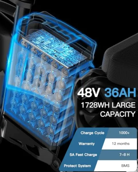 W Wallke Electric Bike Adults Folding 1000W 48V 36Ah Gray