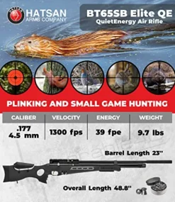 Wearable4U Hatsan BT65SB Elite Quiet Energy .177 Cal Air Rifle Bundle with 500 Pellets & 100 Targets