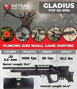 Wearable4U Hatsan Gladius .22 Cal Air Rifle Bundle with 100x Targets & 250x Pellets
