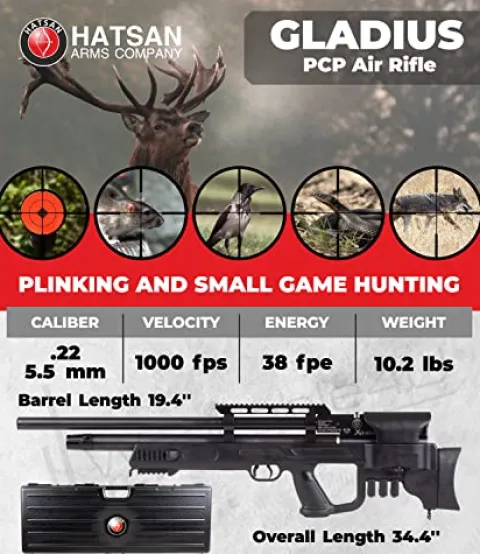 Wearable4U Hatsan Gladius .22 Cal Air Rifle Bundle with 100x Targets & 250x Pellets