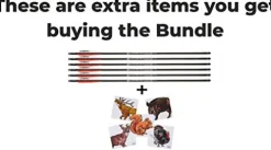 Wearable4U Hatsan Harpoon Arrow Air Rifle Bundle with 6pk Carbon Fiber Arrows and 100x Paper Targets