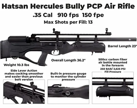 Wearable4U Hatsan Hercules Bully .35 Cal Air Rifle Bundle with 100 Pellets and Targets Black