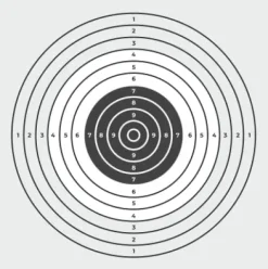 Wearable4U Hatsan Invader Auto .22 Cal Air Rifle Bundle with 250 Pellets & 100 Targets