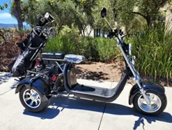 WesternPacific Golf Cart Electric Mobility Scooter Black
